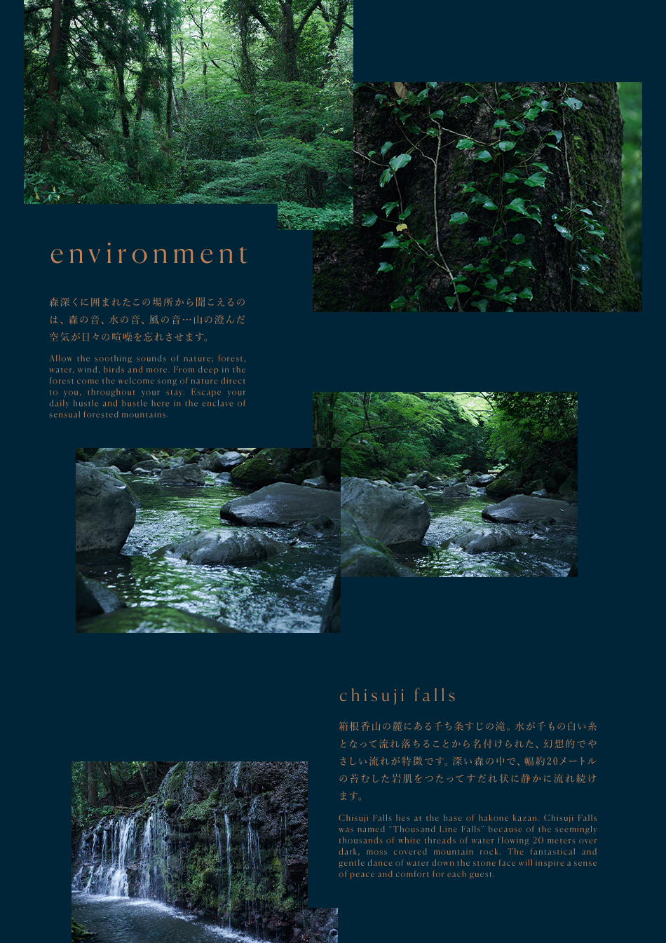 environment